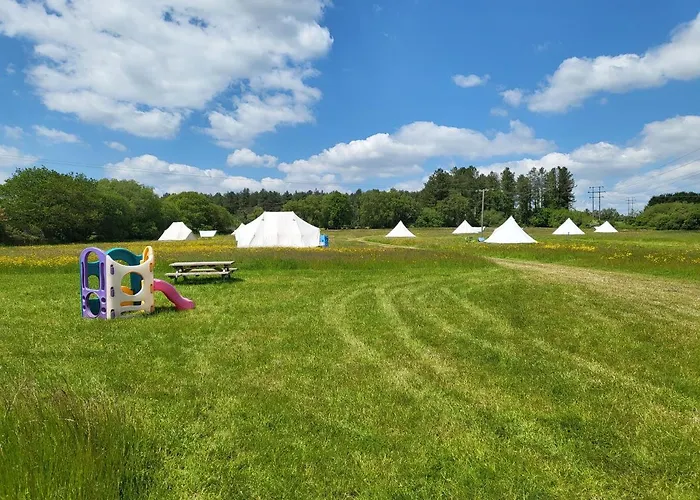 Dorset Glamping Fields