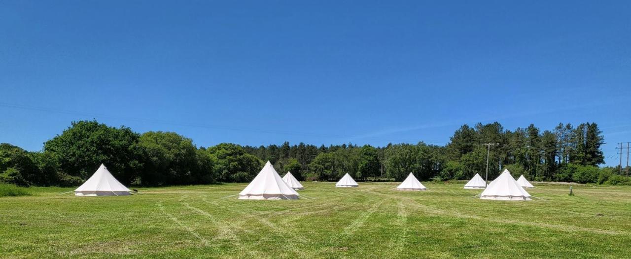 Dorset Glamping Fields Luxe tent *