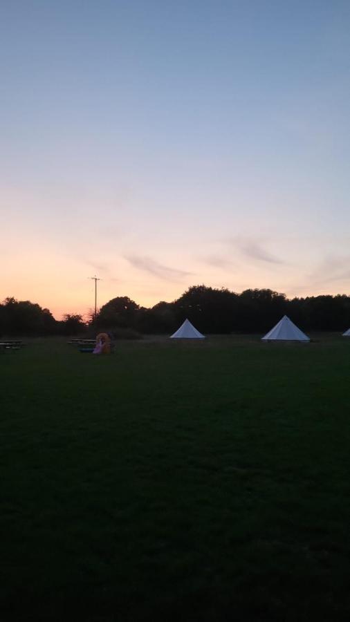 Dorset Glamping Fields *