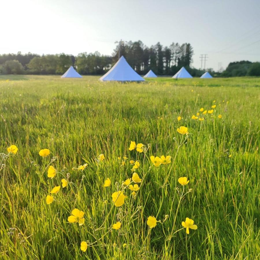Dorset Glamping Fields Corfe Mullen